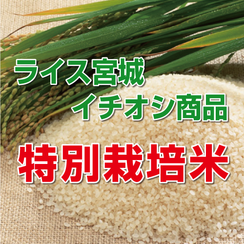 ライス宮城イチオシ商品/特別栽培米